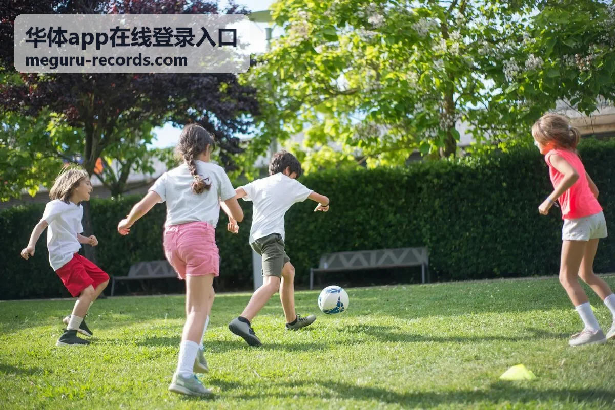 华体app在线登录入口 登录入口与账号验证操作界面