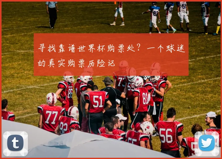 寻找靠谱世界杯购票处？一个球迷的真实购票历险记