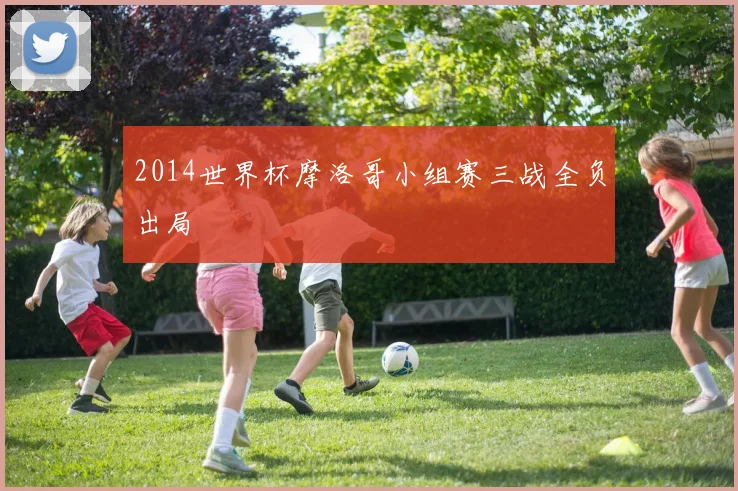 2014世界杯摩洛哥小组赛三战全负出局