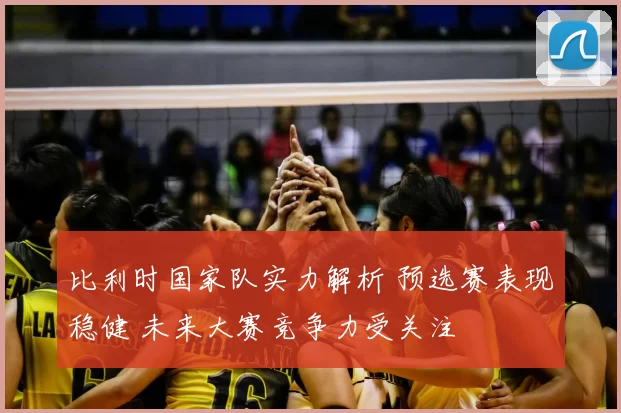 比利时国家队实力解析 预选赛表现稳健 未来大赛竞争力受关注