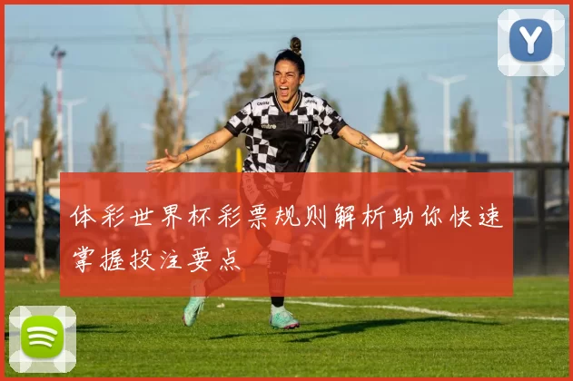 体彩世界杯彩票规则解析助你快速掌握投注要点
