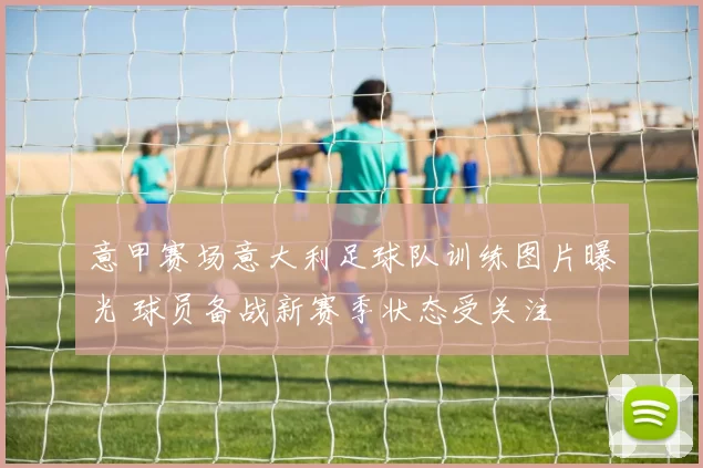 意甲赛场意大利足球队训练图片曝光 球员备战新赛季状态受关注