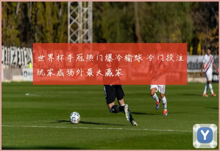 世界杯夺冠热门爆冷输球 冷门投注玩家成场外最大赢家